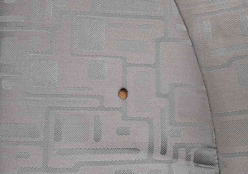 Araç Sigara Yanığı Tamiri